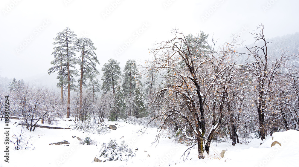 snow storm in the mountains snow storm in the mountains