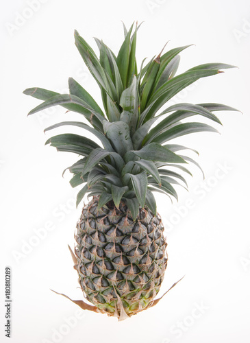 Pineapple, Pineapple tropical fruit on background