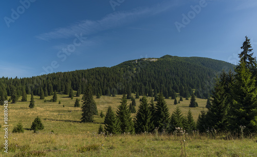 Fototapeta Naklejka Na Ścianę i Meble -  View in Velky Choc area in Slovakia mountains