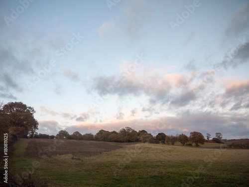 beautiful empty open country farm field space tree line clouds autumn
