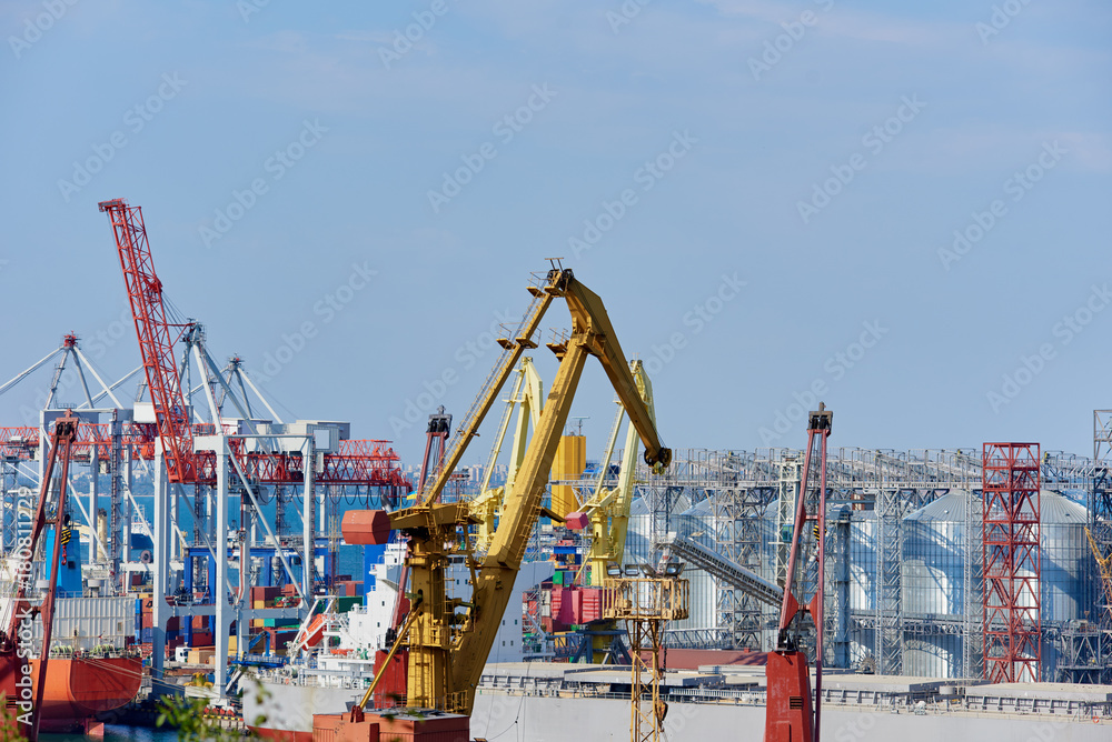 Modern cranes in seaport Modern cranes in seaport