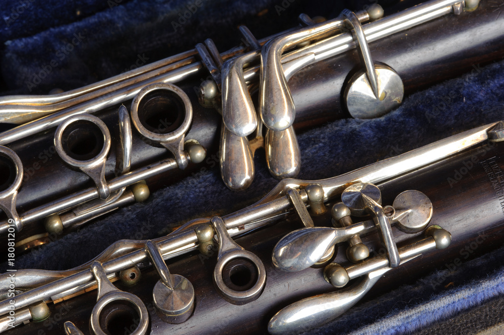 Obraz premium Clarinet in a Clarinet Case