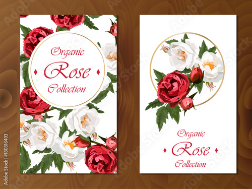 rose card on wooden background photo