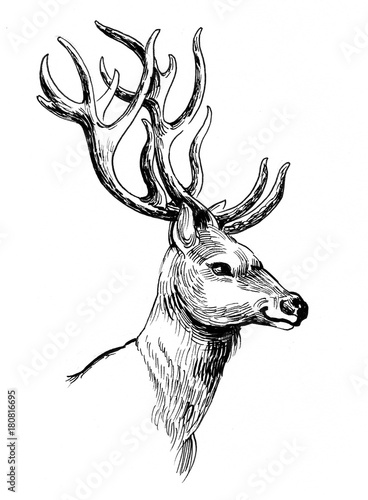 Φωτογραφία Ink drawing of a deer head