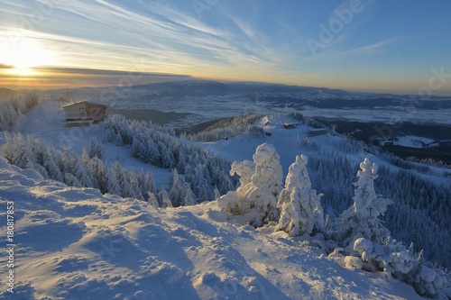Winter landscape with fir trees forest covered by heavy snow in Postavaru mountain, Poiana Brasov resort