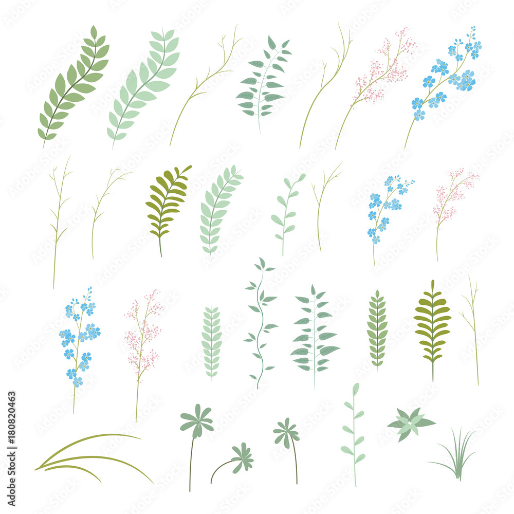 Vector set of plants, flowers and herbs Vector set of plants, flowers and herbs