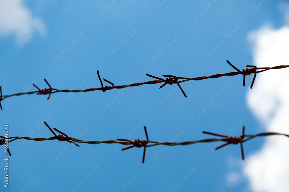 Barbed Wire Barbed Wire
