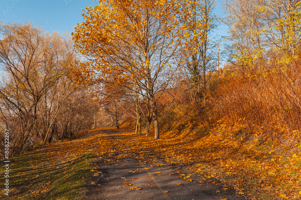 Obraz premium walk in Hungarian village Zebegeny autumn, fall colors in town, bright autumn colors in village