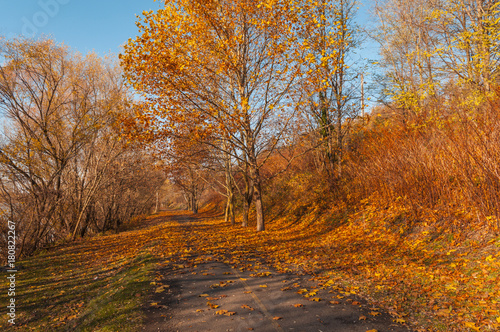 walk in Hungarian village Zebegeny autumn, fall colors in town, bright autumn colors in village