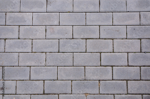 Obraz na płótnie The texture of paving slabs w salonie
