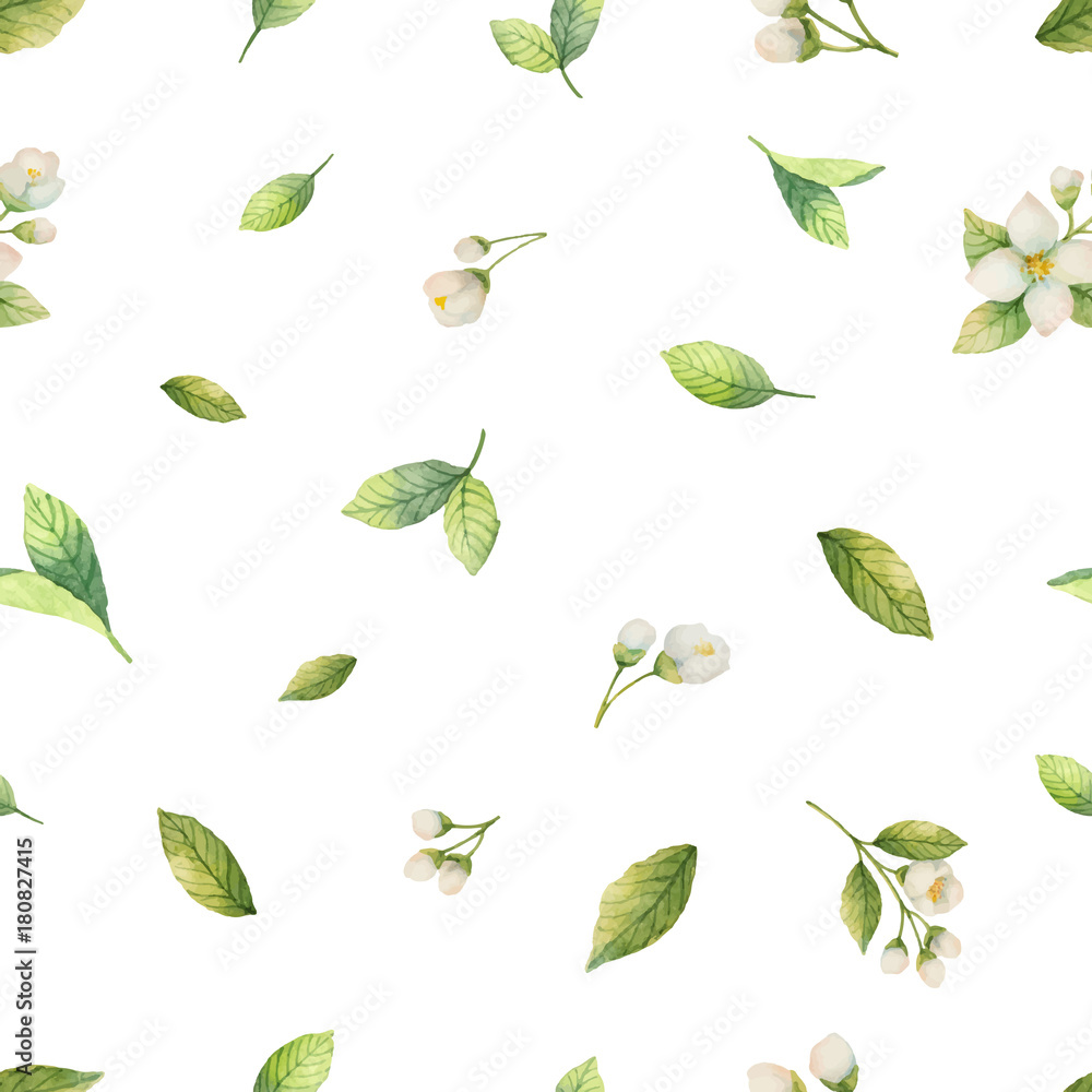 Watercolor vector seamless pattern with Jasmine flowers and mint leaves isolated on a white background.