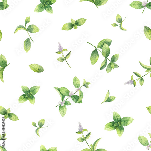 Watercolor vector seamless pattern with branches and leaves of mint isolated on a white background.
