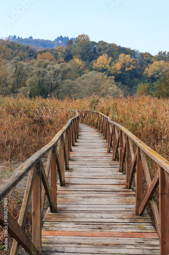 oasi dell'Alberone © Roberto Zocchi