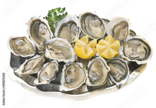 oysters on silver tray