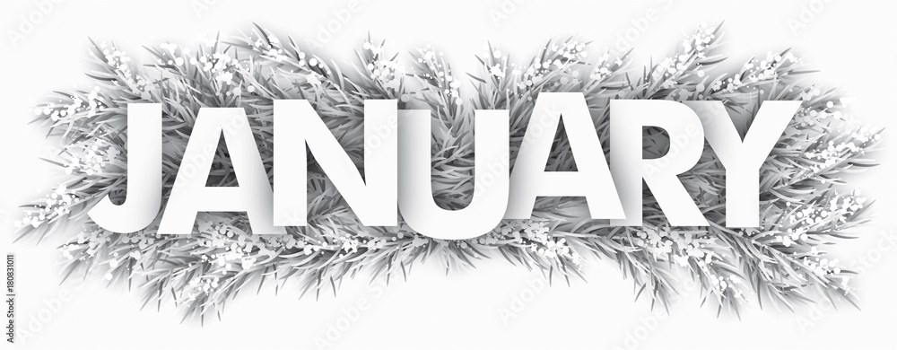 January Images – Browse 1,596,948 Stock Photos, Vectors, and Video | Adobe  Stock