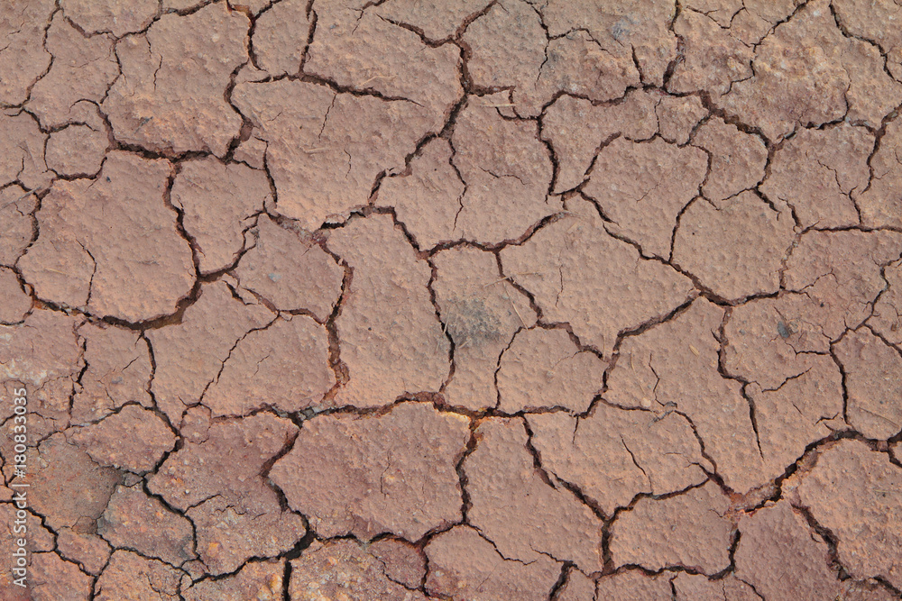 Dry cracked earth textured background. Dry cracked earth textured background.