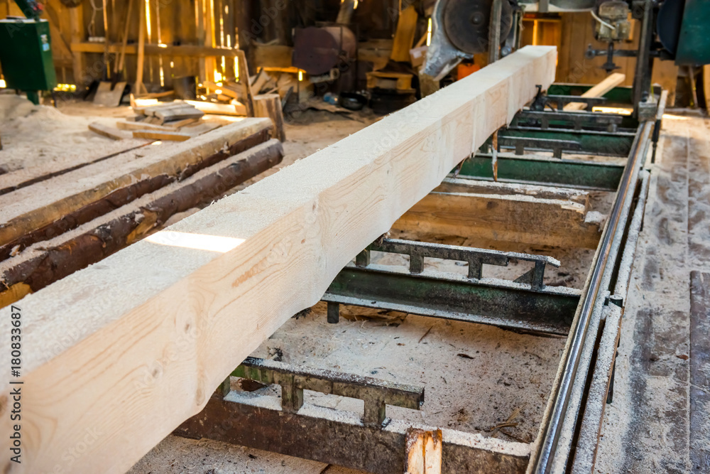 log in the timber factory log in the timber factory