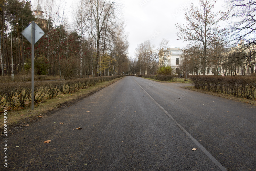 road in the fall in the city road in the fall in the city