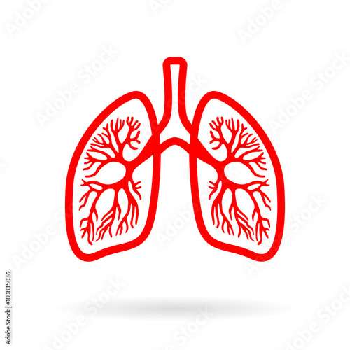 Human lungs outline icon