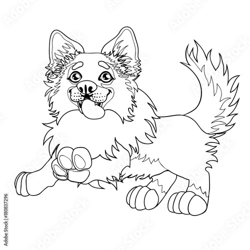 Lovely puppy dog sits contour line