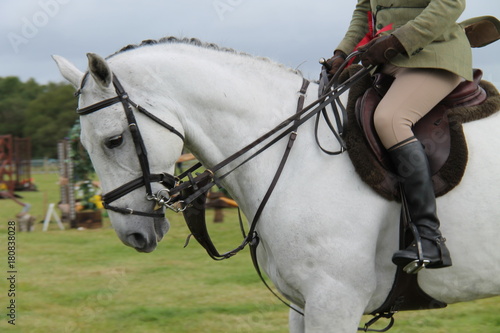 A Horse and Rider at a Show Jumping Event.
