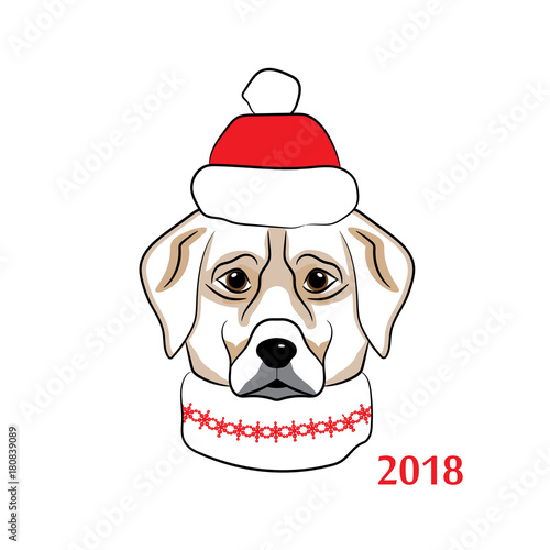 Dog is Symbol of 2018 year. Colored hand draw sketch of head of labrador in Santa Claus hat and scarf. Vector illustration.