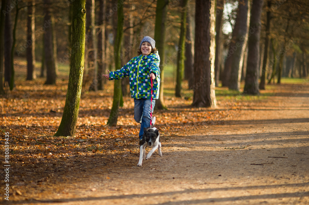 Boy 10-11 years walking the dog in autumn Park. Boy 10-11 years walking the dog in autumn Park.