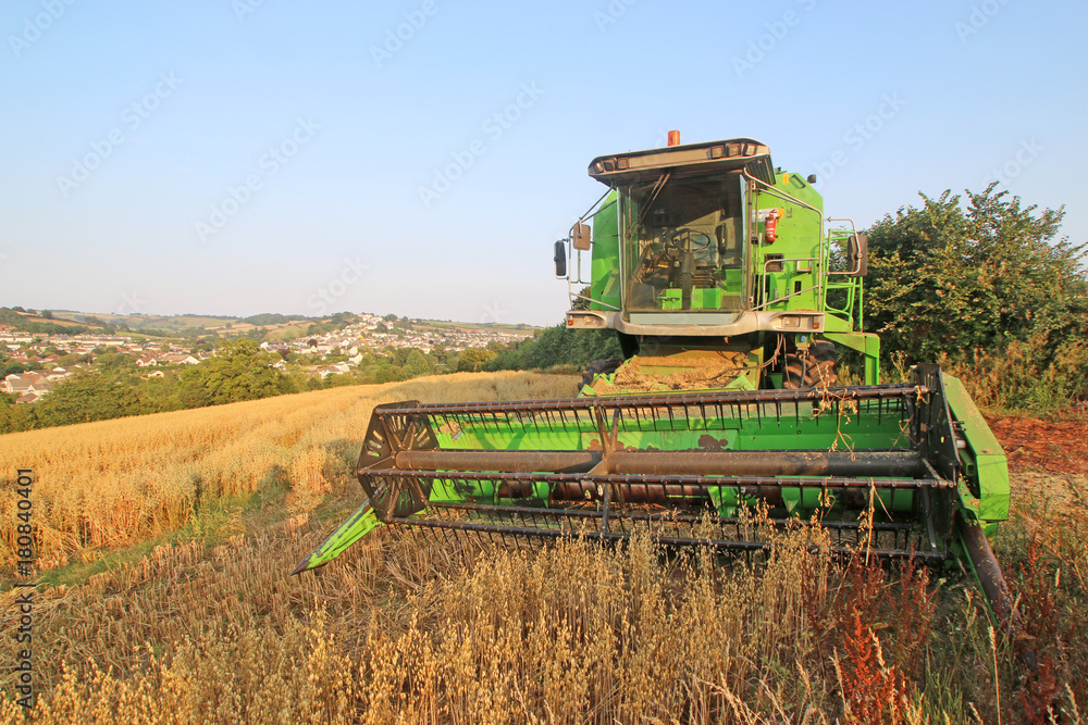 Fototapeta premium Combine Harvester