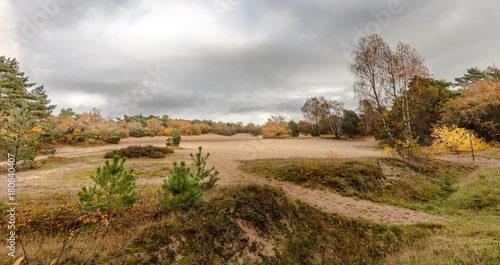 Dunes in nature