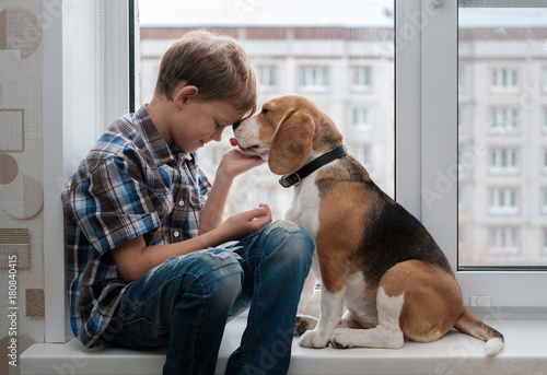 European boy and Beagle dog on the windowsill