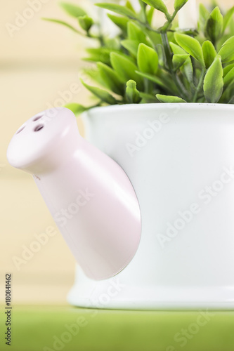 close up of white flower petal, shades of white, teal, soft dreamy image 