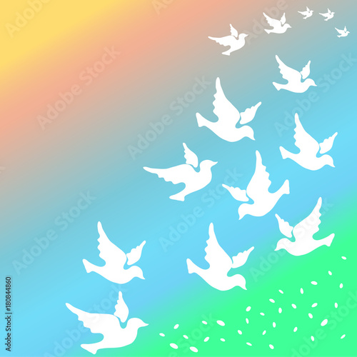 White dove vector illustration