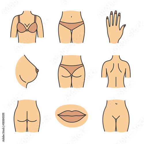 Female body parts color icons set