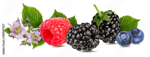Berries collection. Raspberry, blueberry, blackberry isolated on white.