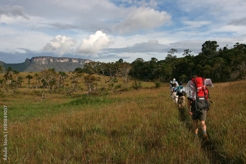 Venezuela, Trekking zum Chirikayen-Tafelberg