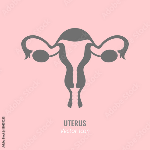 Uterus vector icon