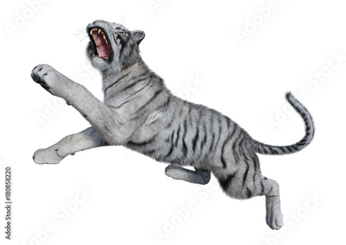 Fototapeta Naklejka Na Ścianę i Meble -  3D Rendering White Tiger on White