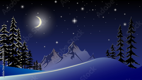 Vector illustration of a New Year`s night landscape. Christmas card. Can be used as a Christmas decoration. © Rudvi