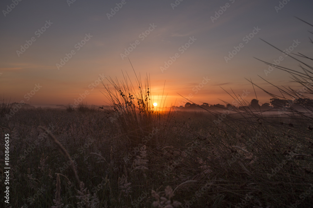 Fototapeta premium Misty Fields at Sunrise
