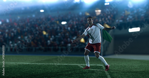 Soccer player kicks the ball on the soccer stadium. He wear unbranded sports clothes. Stadium and crowd made in 3D. © haizon