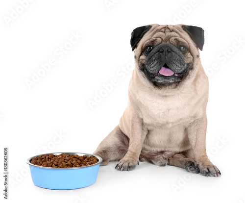 Cute overweight pug and bowl full of food on white background © Africa Studio