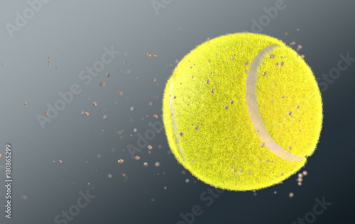 Tennis Ball photo