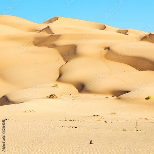 in oman old desert  rub al khali the empty  quarter and outdoor  sand dune