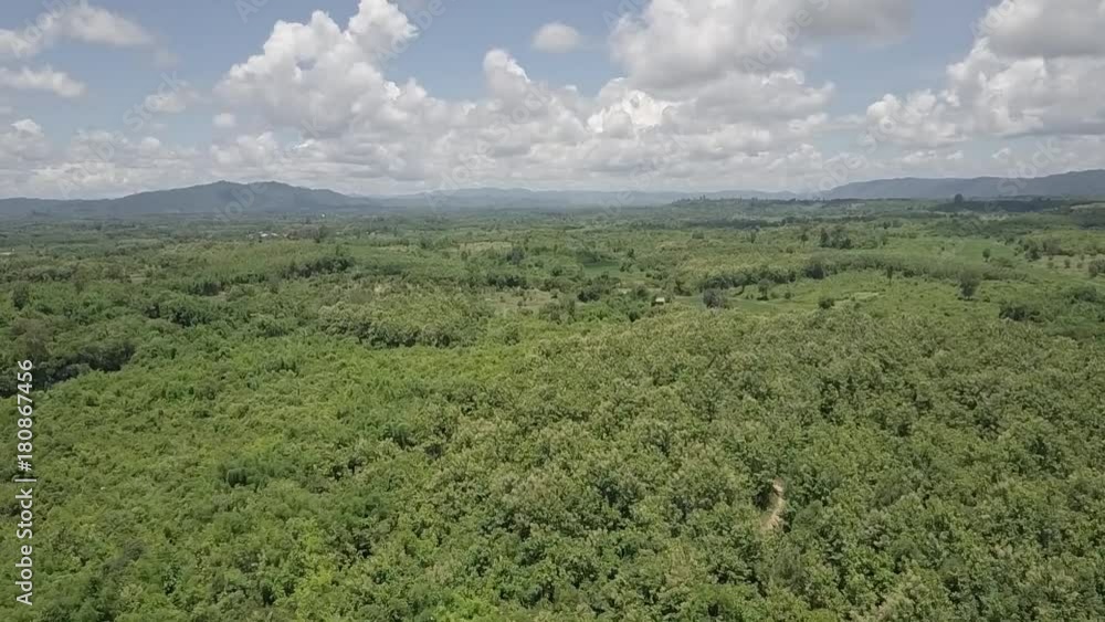 A mountain and a tree in the shadow forest under the cloudy sky.Drone A mountain and a tree in the shadow forest under the cloudy sky.Drone