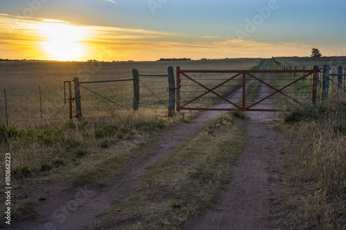 La pampa landscape