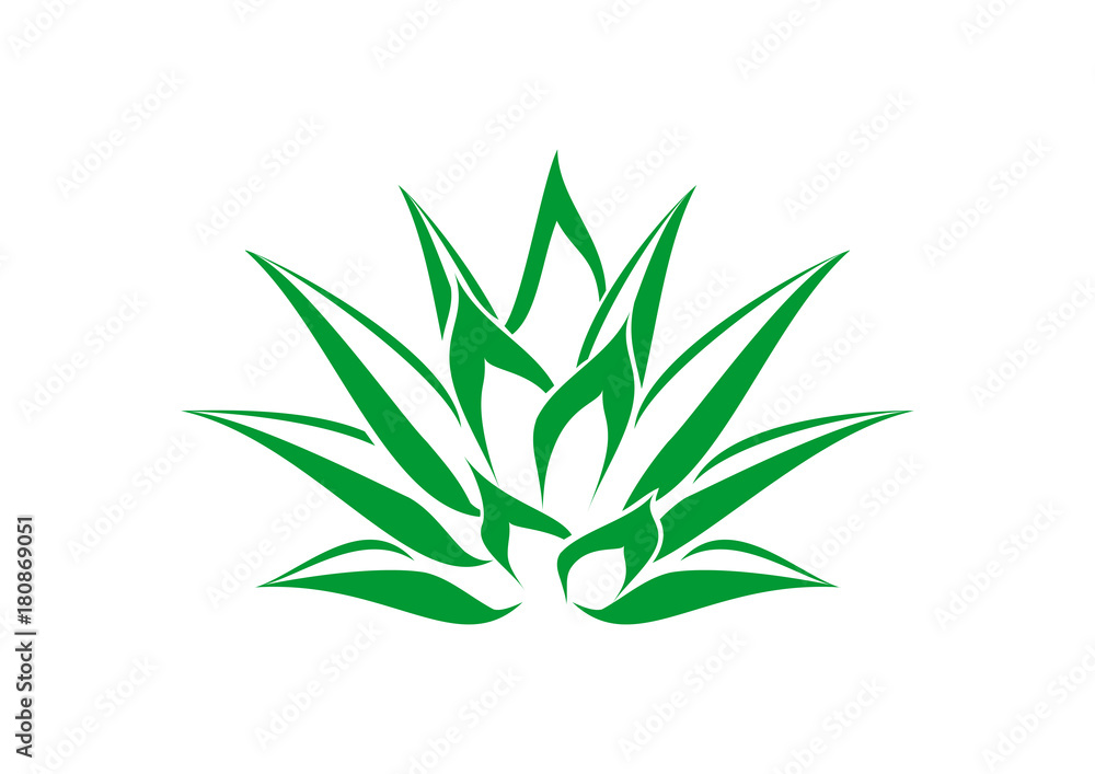 Abstract Aloe vera Line Logo Symbol Stock Vector | Stock