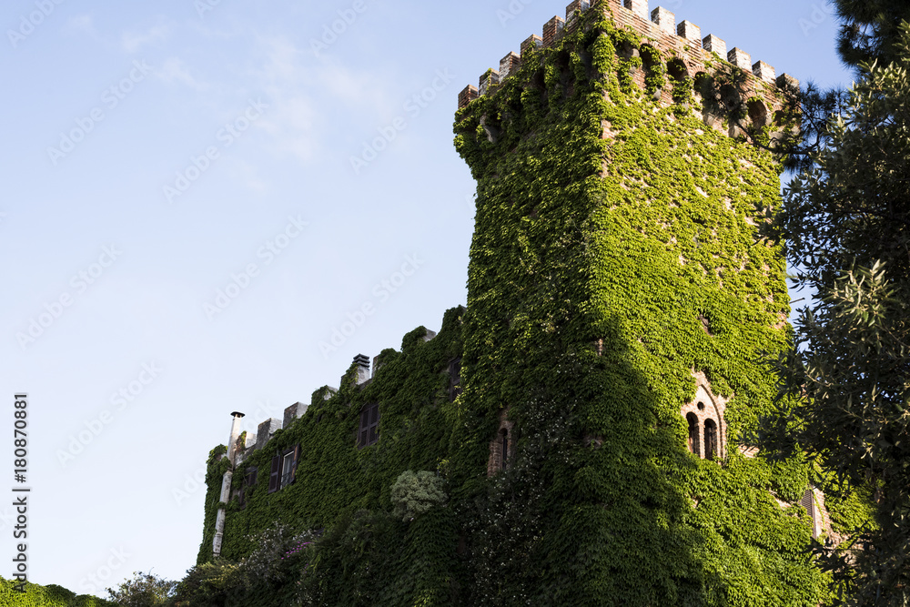 Detail of the old castle tower covered with vines in the Italian town of Montalto di Castro
