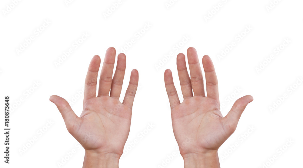 Two man hands. Isolated on white background Two man hands. Isolated on white background