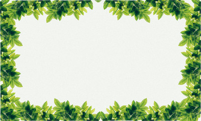 Fresh green leaves forming a natural border frame on a white background, perfect for text, invitations, nature themes, or eco-friendly designs.  