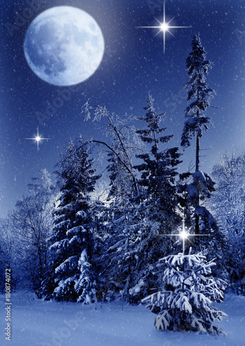 Christmas snow-covered spruce in the forest at night, snowing and the sky the moon